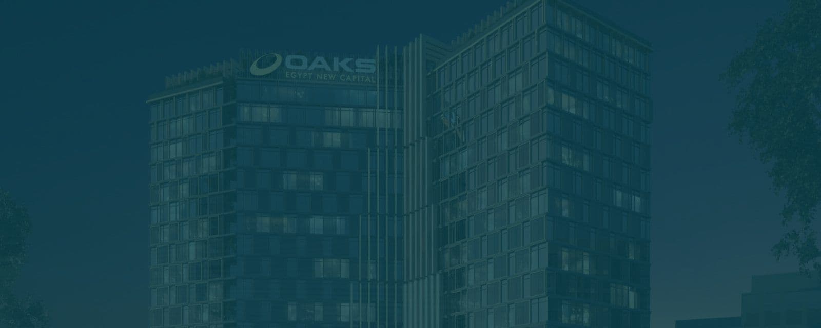 marginsdevelopments progress - null